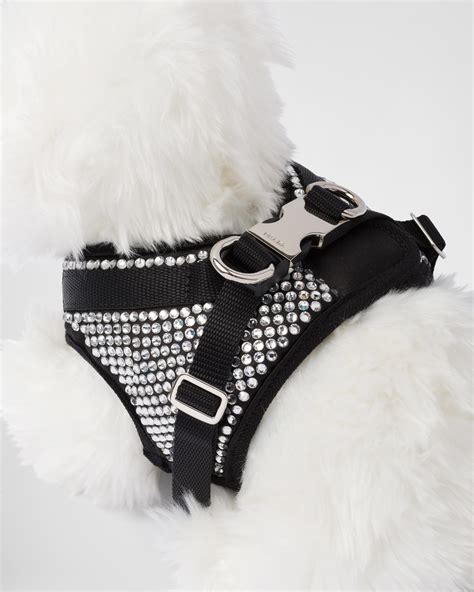 prada pet binnenkant|Prada pet accessories.